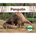 Pangolin (Pangolin)