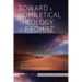 Toward a Homiletical Theology of Promise