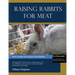 Raising Rabbits For Meat
