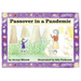 Passover in a Pandemic