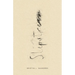 Slipstream