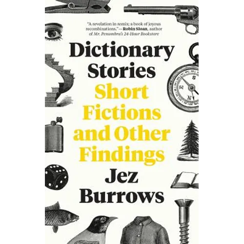 Dictionary Stories: Short Fictions and Other Findings