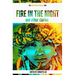 Fire In The Night and Other Stories: The 2014 Writivism Anthology