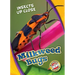 Milkweed Bugs