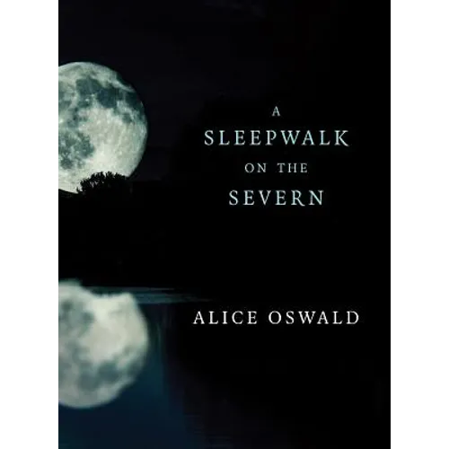 A Sleepwalk on the Severn