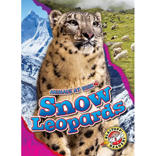 Snow Leopards