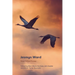 Jesmyn Ward: New Critical Essays