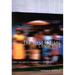 The West Indians of Costa Rica: Race, Class, and the Integration of an Ethnic Minority