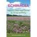 Echinacea: Nature's Best Kept Secret for Stress and Anxiety
