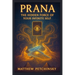 Prana: The Hidden Force of Your Infinite Self