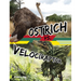 Ostrich vs. Velociraptor