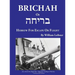 Brichah: (Hebrew for Escape or Flight)