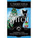 Solstice Witch