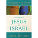 The Gospel of Matthew Through New Eyes Volume One: Jesus as Israel