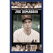 Joe Dimaggio: A Biography