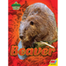 Beaver