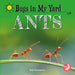 Ants