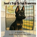 Sauli's Trip To San Francisco: A Prequel To Sauli's Day Across The Globe