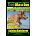 Golden Retriever, Golden Retriever Training AAA AKC Think Like a Dog, but don': Here's EXACTLY How to TRAIN Your Golden Retriever