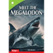 Meet the Megalodon
