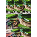 Aloe Vera Medicine: Medicines of The Prophet