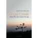 Angel Creek: Where the River Meets the Sea