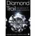The Diamond Trail: How India Rose to Global Domination
