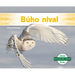 Buho Nival (Snowy Owl)
