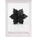 Frank Stella's Stars: A Survey