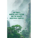 Jin Yong's Martial Arts Fiction and the Kungfu Industrial Complex