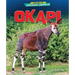Okapi