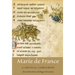 Marie de France: A Critical Companion