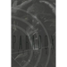 Paradox