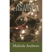 An Irish Christmas
