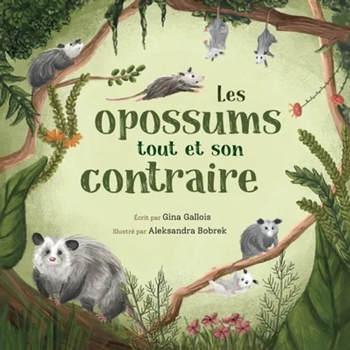 Les opossums: tout et son contraire - Paperback