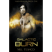 Galactic Burn: A Scifi Alien Romance