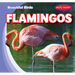 Flamingos