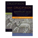 The Crucifixion of the Warrior God: Interpreting the Old Testament's Violent Portraits of God in Light of the Cross, Volume 1 & 2