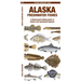 Alaska Freshwater Fishes