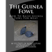 The Guinea Fowl: How To Raise Guinea Fowl For Meat