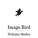 Imago Bird