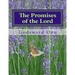 The Promises of the Lord: God Can Never Fail Nor Disappoint Anybody