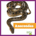 Anacondas