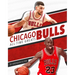 Chicago Bulls All-Time Greats