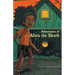 Adventures of Alura the Sleuth