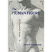 The Human Figure