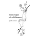 many types of wildflowers