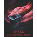 Snake: The Picture Book of Amazing Snake for Snake Lovers, Seniors, Dementia, and Alzheimer's.