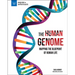 The Human Genome: Mapping the Blueprint of Human Life