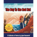 The Boy in the Red Hat: A Collection of Stories by Lysha Dunsworth